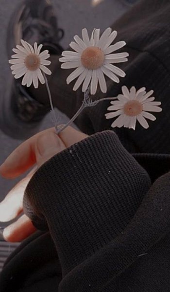  دانلود عکس با کیفیت برای اینستاگرام