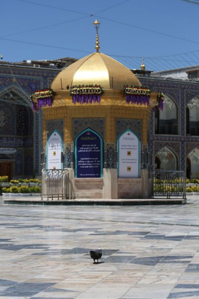 عکس حرم امام رضا واقعی