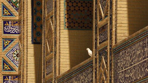 عکس حرم امام رضا واقعی