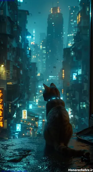  عکس گربه سیاه برای پروفایل HD