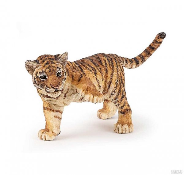  عکس توله ببر زیبا