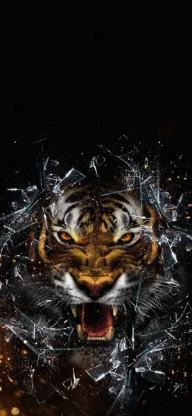  عکس ببر طلایی بنگال