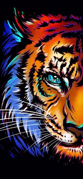  عکس ببر برای استوری