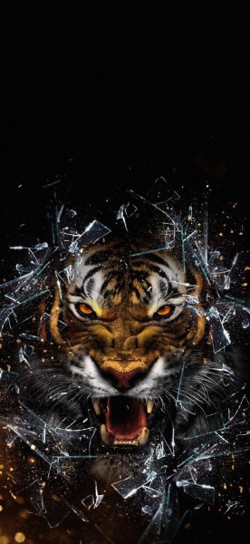  عکس ببر برای استوری