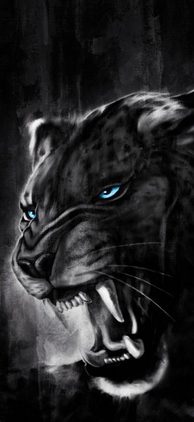  عکس ببر برای استوری