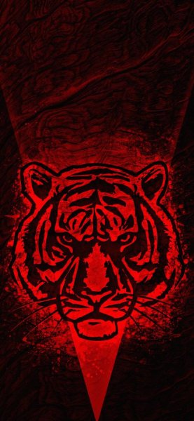  تصویر زمینه ببر زیبا برای والپیپر آیفون