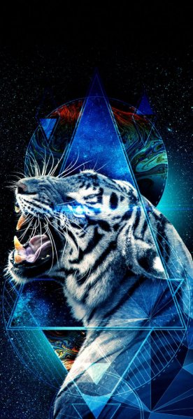  تصویر زمینه ببر زیبا برای والپیپر آیفون
