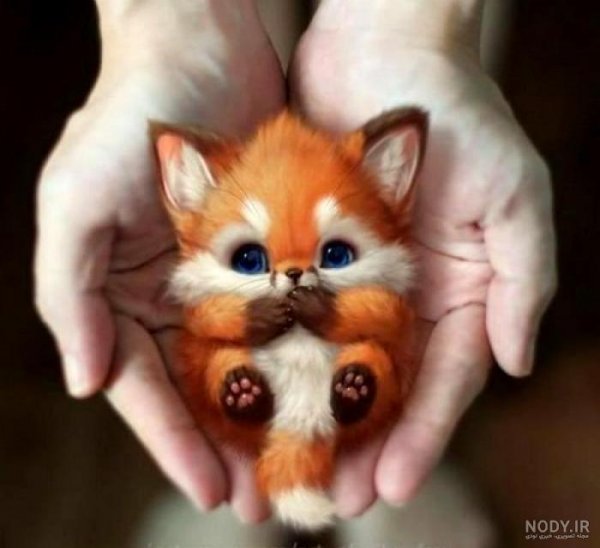  تصویر زمینه روباه فانتزی