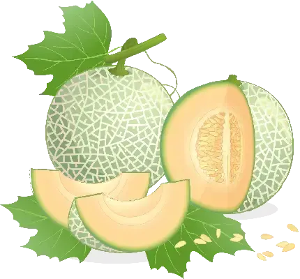  دانلود عکس طالبی کارتونی