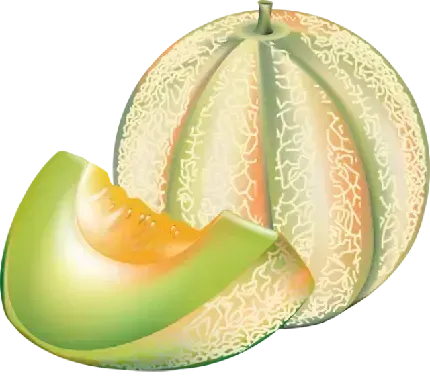  دانلود عکس طالبی کارتونی