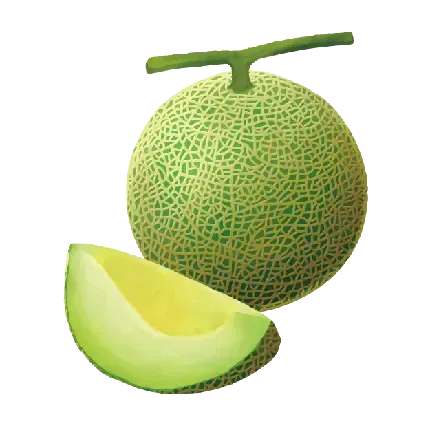  دانلود عکس طالبی کارتونی