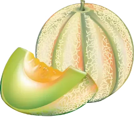  عکس طالبی خوشمزه برای استوری