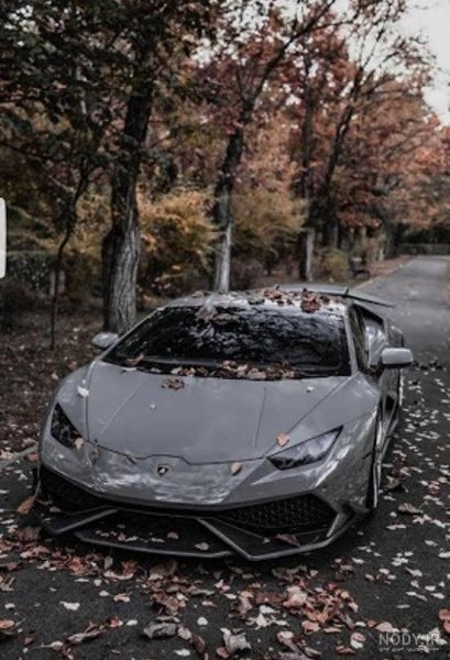  عکس فراری برای پروفایل