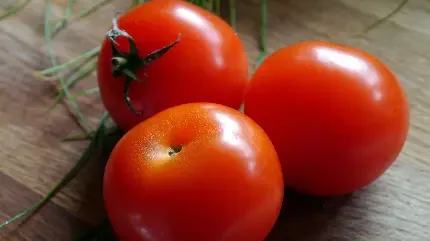  عکس گوجه فرنگی های تازه برای پروفایل