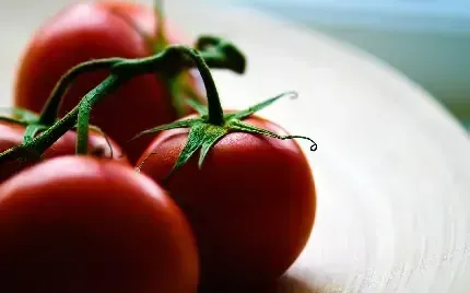  عکس گوجه گیلاسی