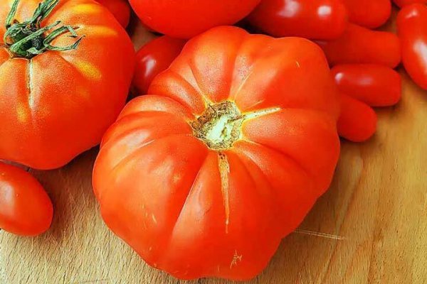  عکس انواع گوجه فرنگی