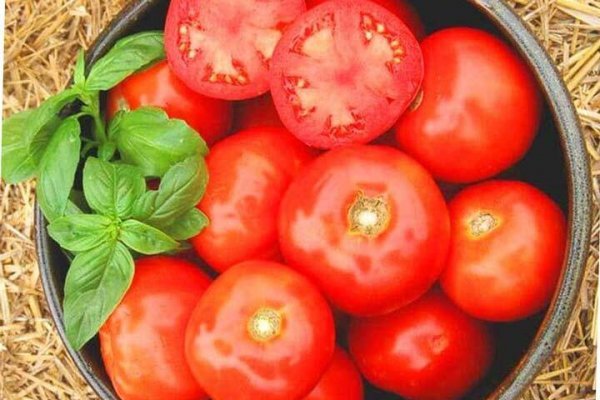  عکس انواع گوجه فرنگی