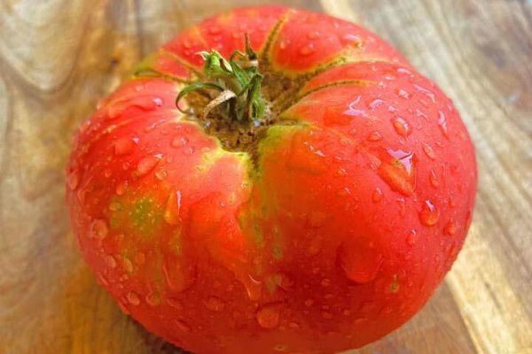  عکس انواع گوجه فرنگی