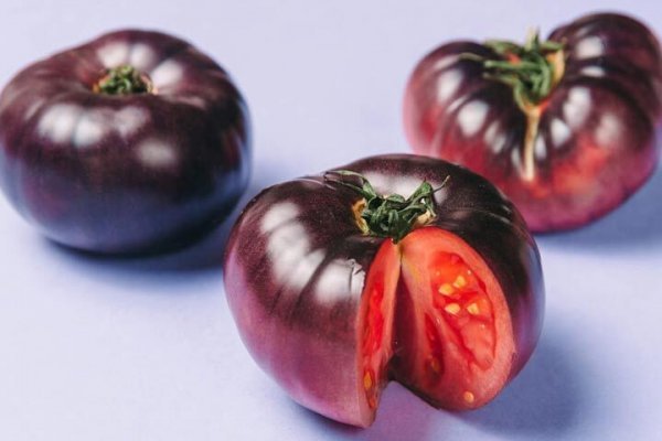  عکس انواع گوجه فرنگی