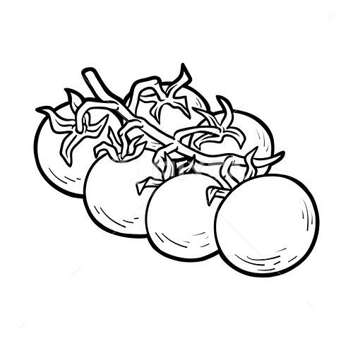  عکس گوجه فانتزی