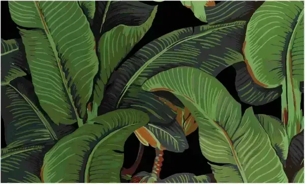  عکس موز کیوت