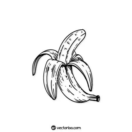  عکس موز کیوت