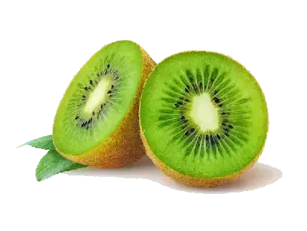  عکس کیوی های تازه و خوشمزه