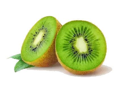  عکس کیوی کیوت