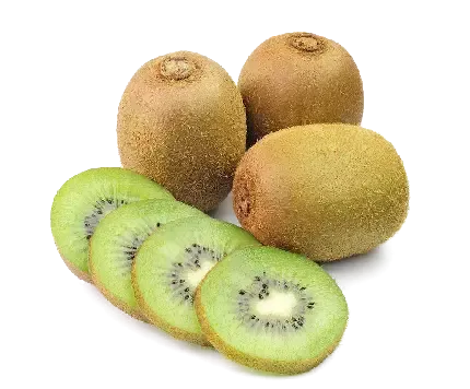  عکس کیوی کیوت