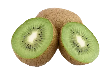  عکس کیوی نقاشی