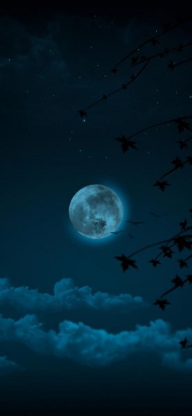  عکس پس زمینه با کیفیت