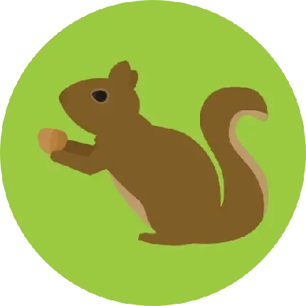  عکس سنجاب برای پروفایل