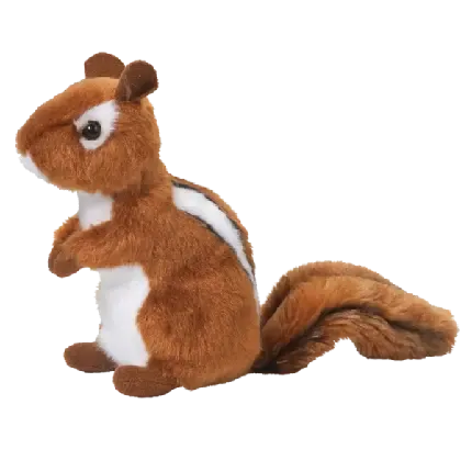  عکس سنجاب برای پروفایل