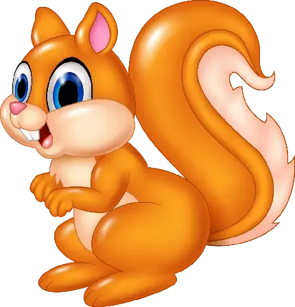  عکس سنجاب برای پروفایل