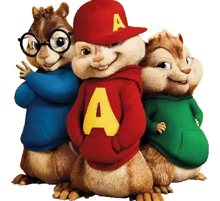  عکس سنجاب وحشی