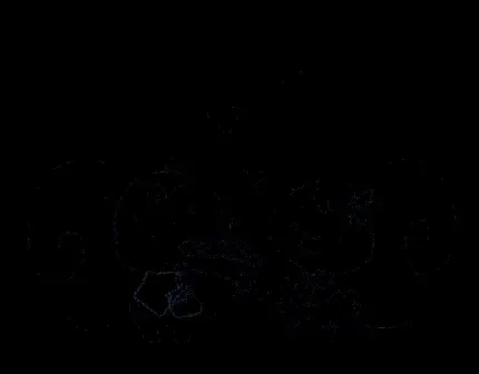  عکس سنجاب وحشی