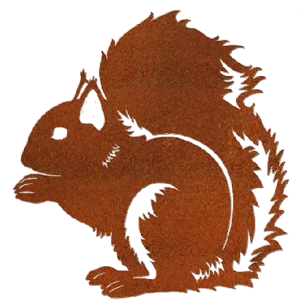  عکس سنجاب وحشی