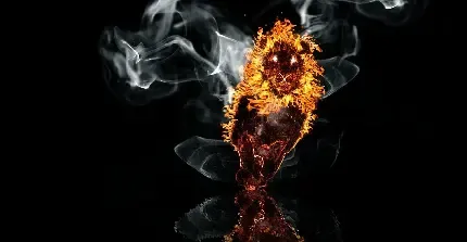  تصویر شیر آتشین برای پروفایل