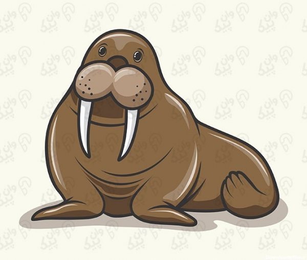  عکس شیر دریایی کارتونی