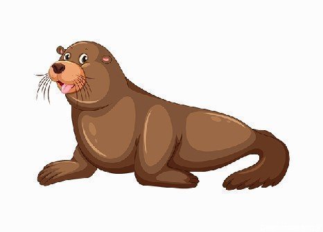  عکس شیر دریایی کارتونی