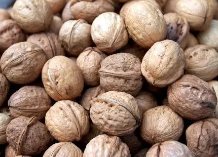  عکس گردو و مغز گردو با کیفیت بالا