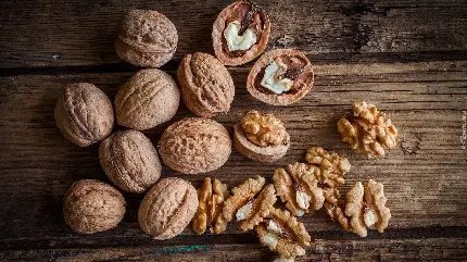  عکس مغز گردو