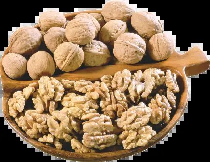  عکس مغز گردو