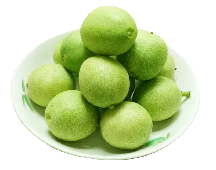 عکس گردو کارتونی