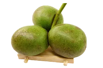  عکس گردو کارتونی