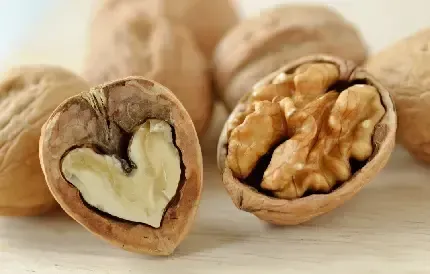  عکس گردو کارتونی