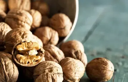  عکس گردو کارتونی