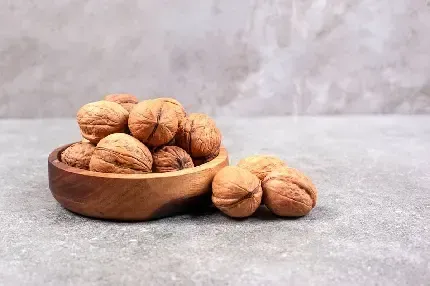  عکس گردو کارتونی