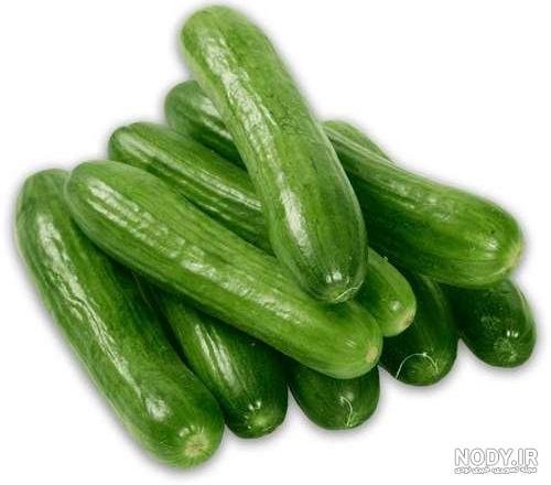  عکس خیار برای پروفایل