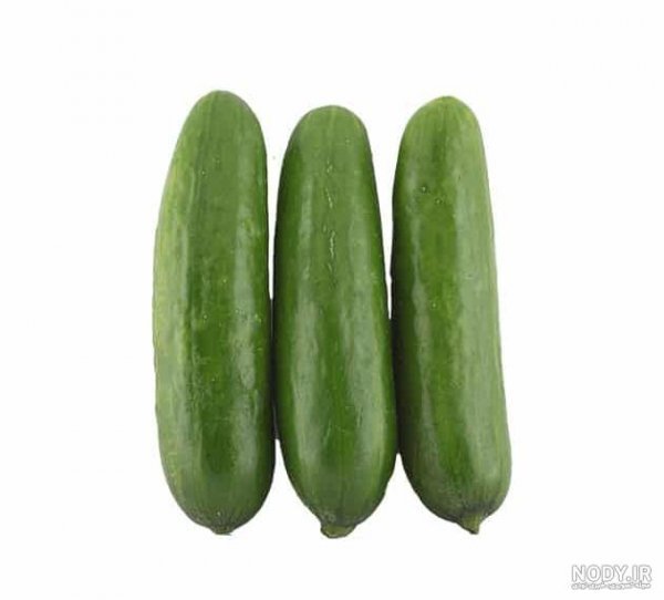  عکس خیار برای پروفایل